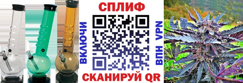 ГАШ Плёс