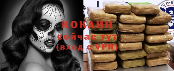 МДПВ Нефтегорск