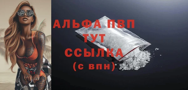 прущий лед Гусев