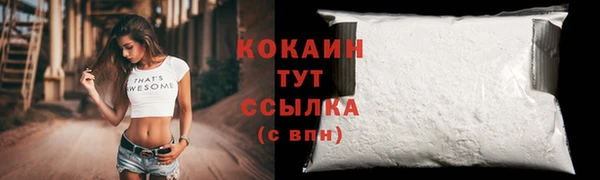 МДПВ Нефтегорск