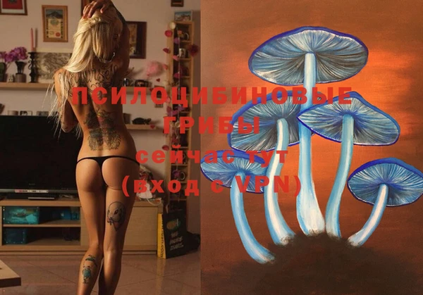 не бодяженный Гусиноозёрск